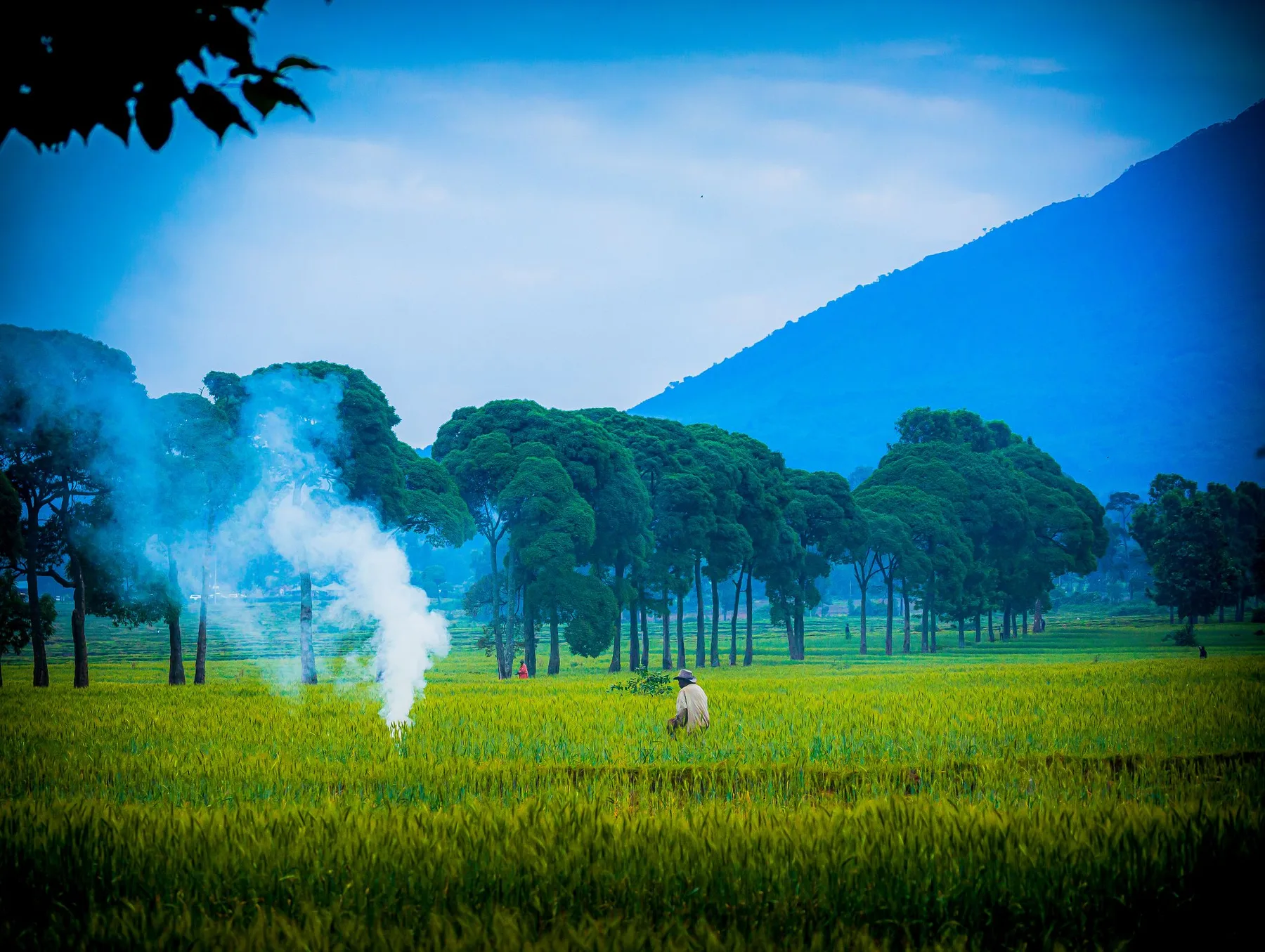 Farmers working beneath hills in Rwanda