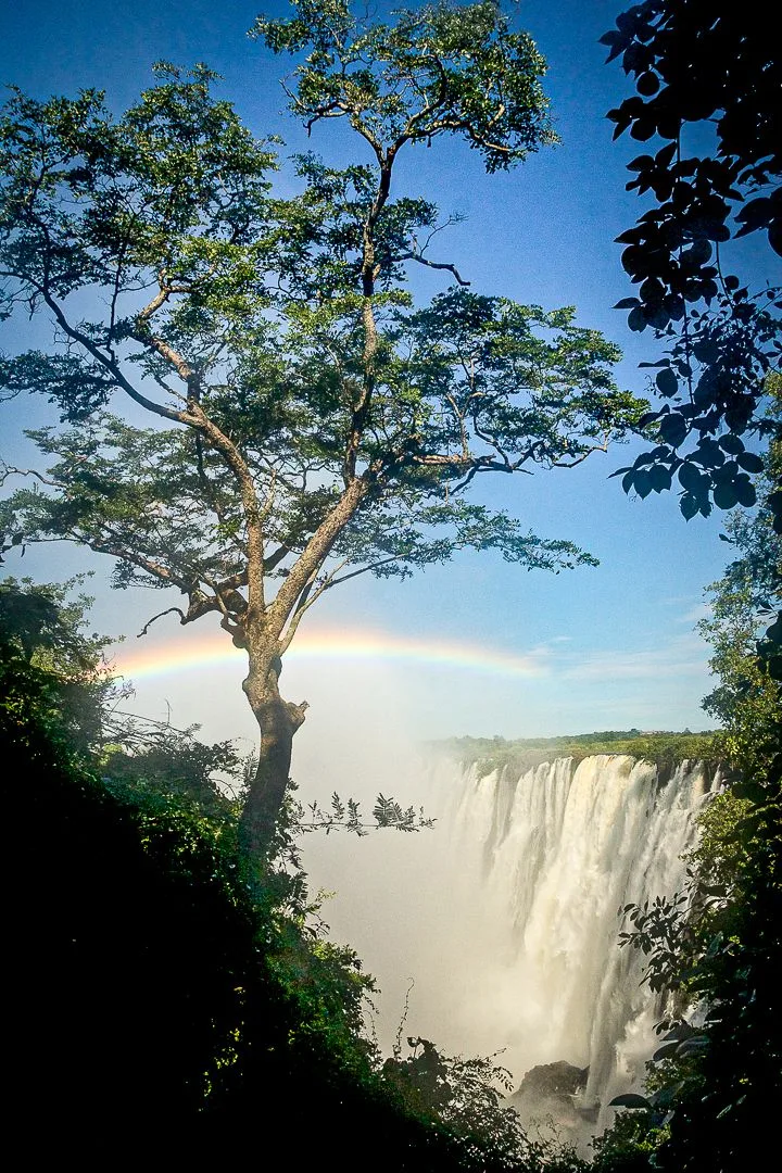 Victoria Falls framed by trees in Zambia