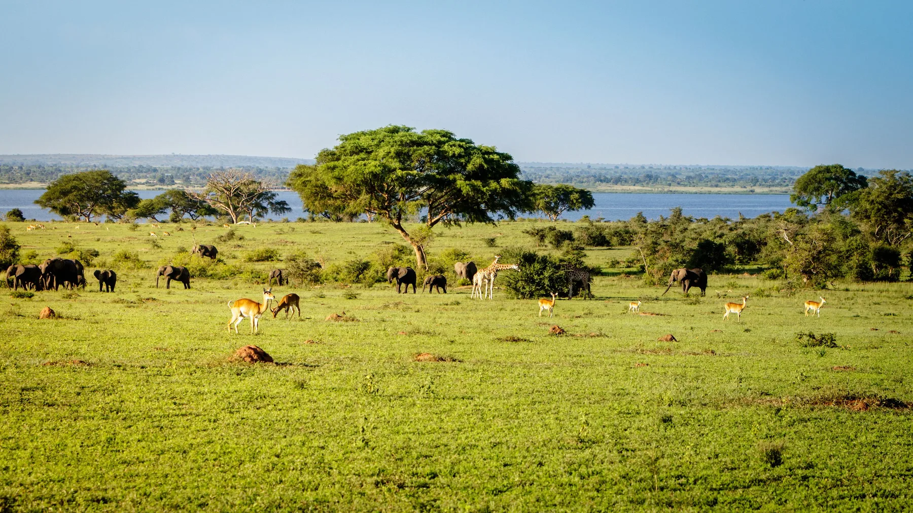 Uganda savannah beside a distant lake