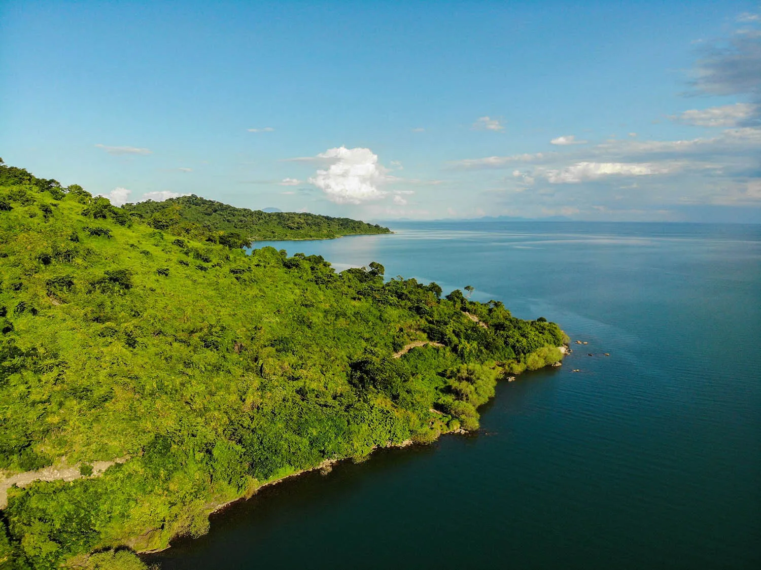 Lake Malawi shoreline from above