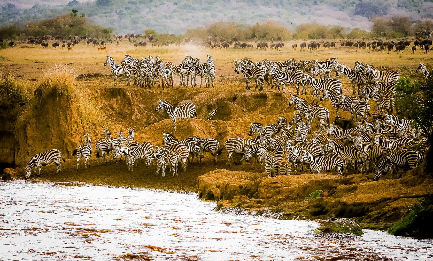 Kenyan wetland with birds and wildlife