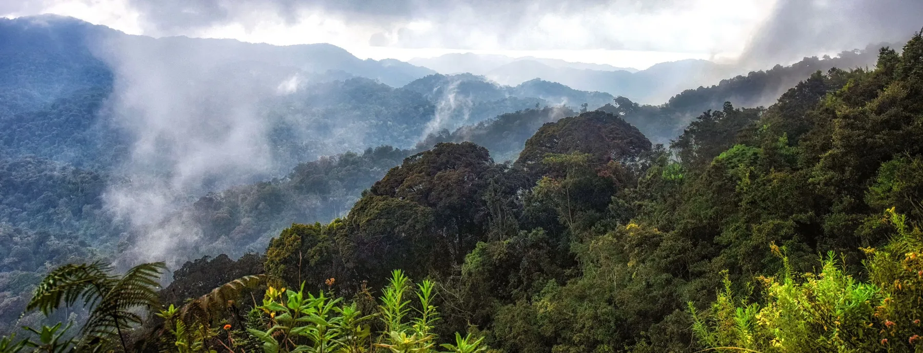 Mist-covered volcanoes in Rwanda