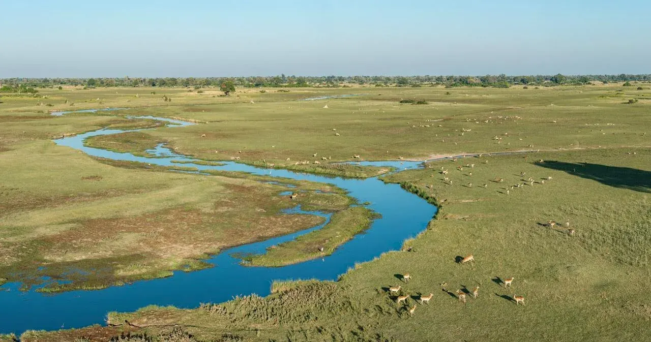 Aerial view of Okavango Delta waterways in Botswana