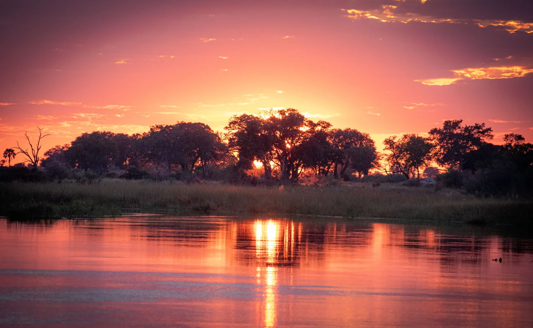Zambian river at sunset