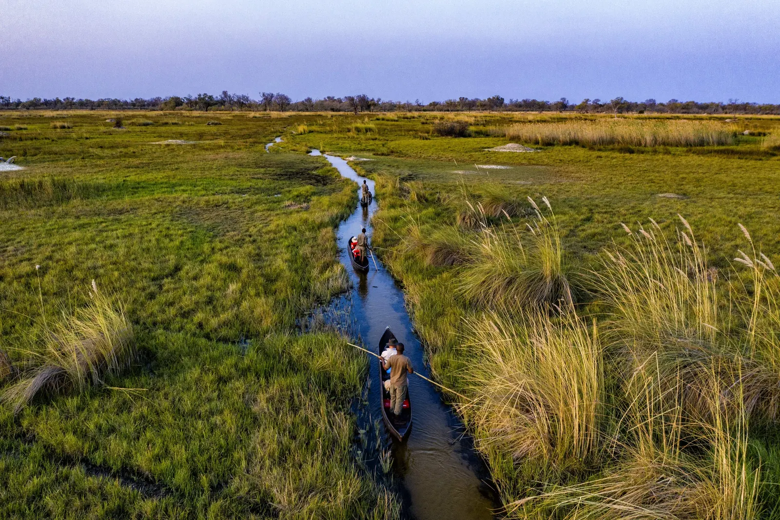 Mokoro gliding through Botswana reeds
