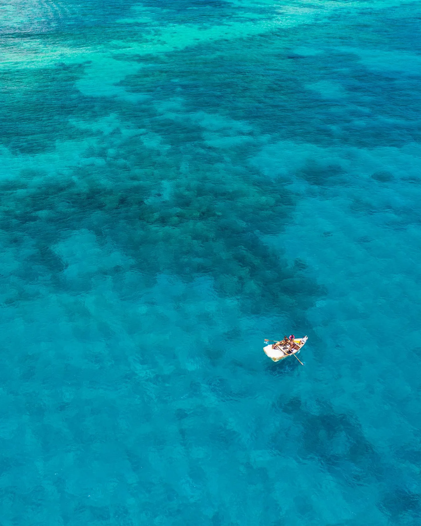 Snorkeller above a Mozambique reef