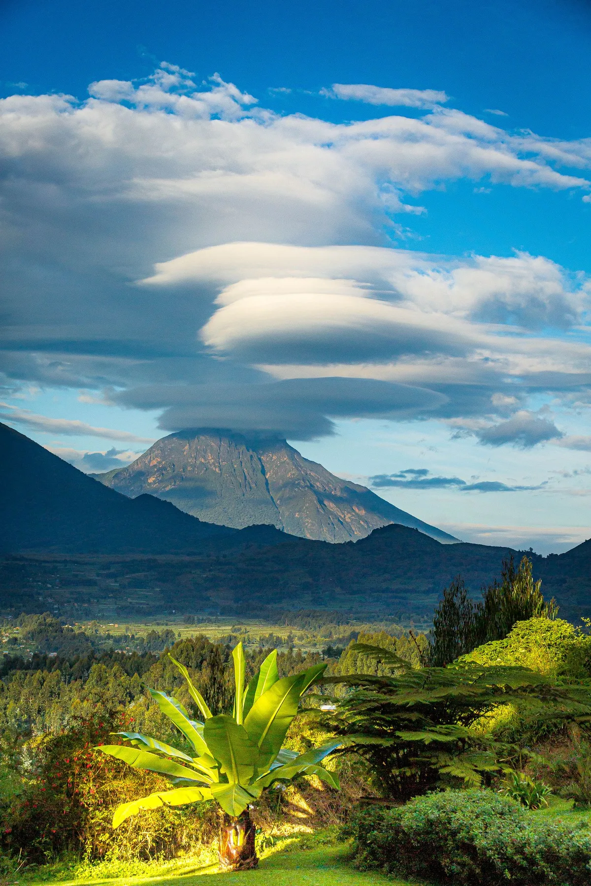 Volcanoes rising above Rwanda landscape