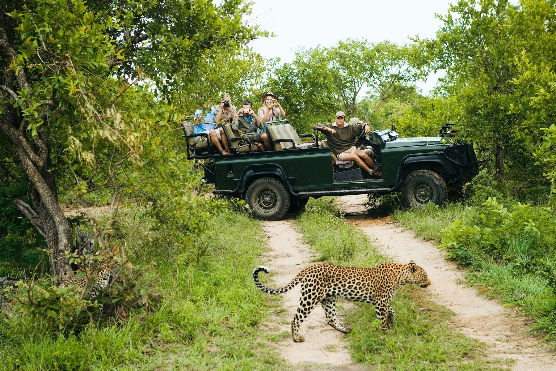 Four-wheel-drive vehicle on a South African game drive