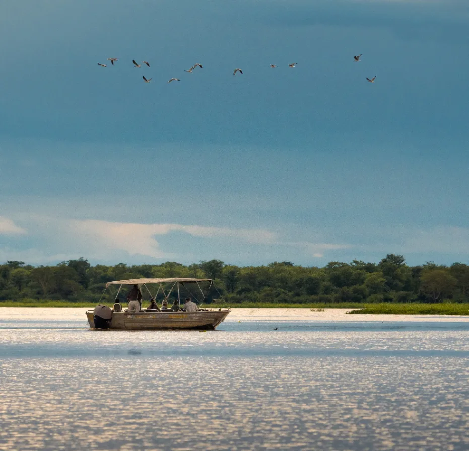 Boat safari on Malawi’s Shire River