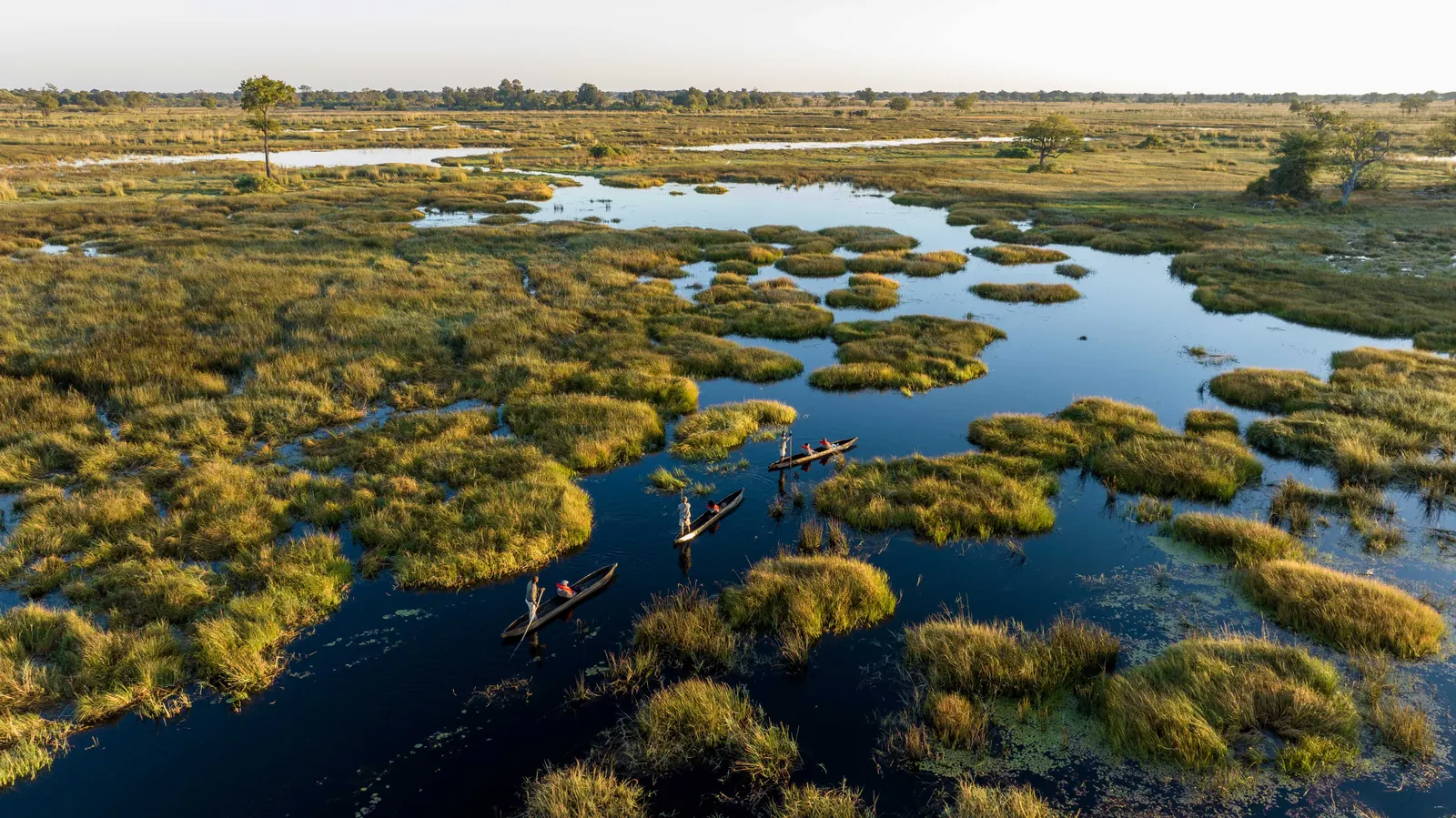 Botswana safari landscape