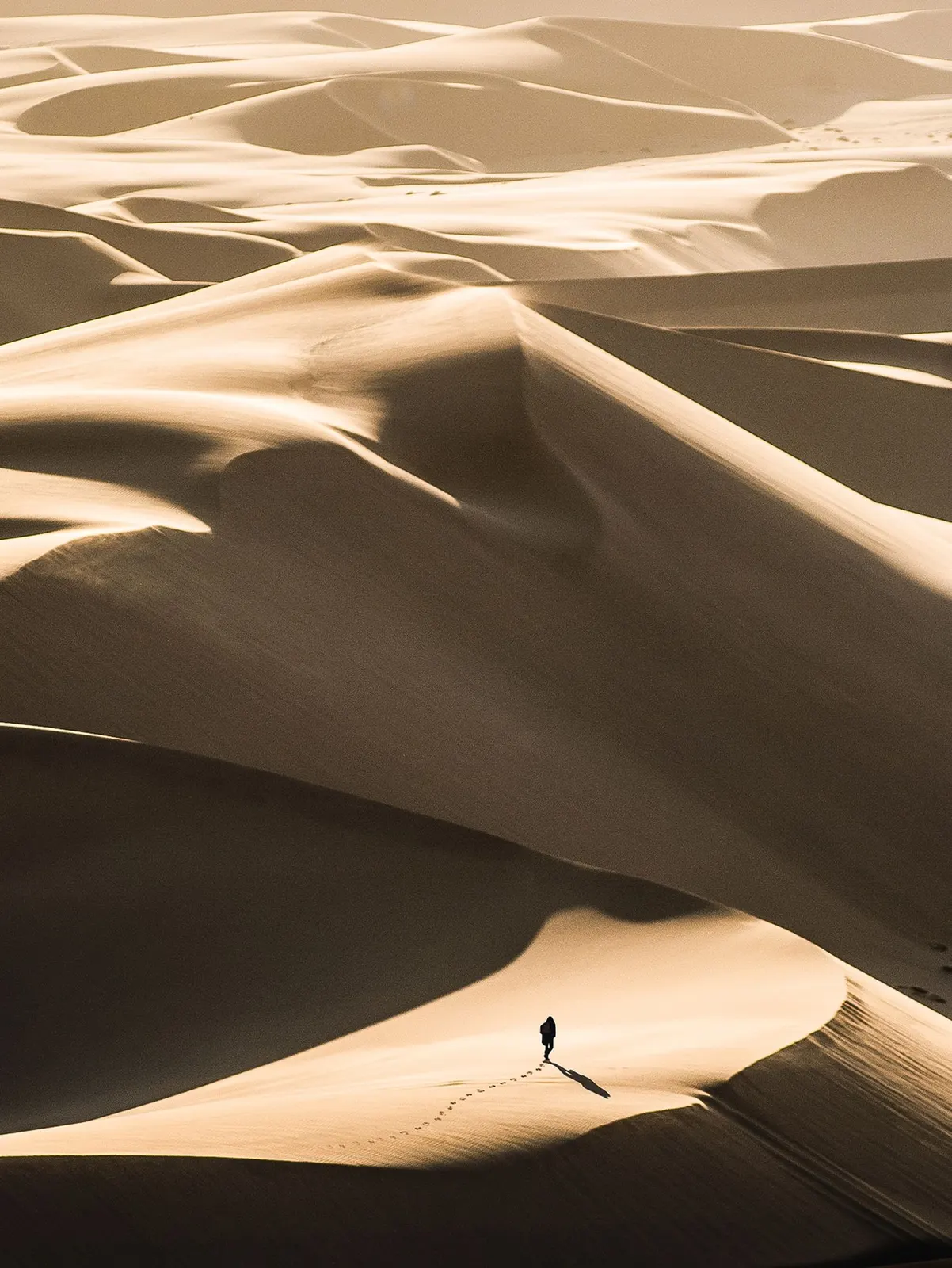 Namibia safari landscape