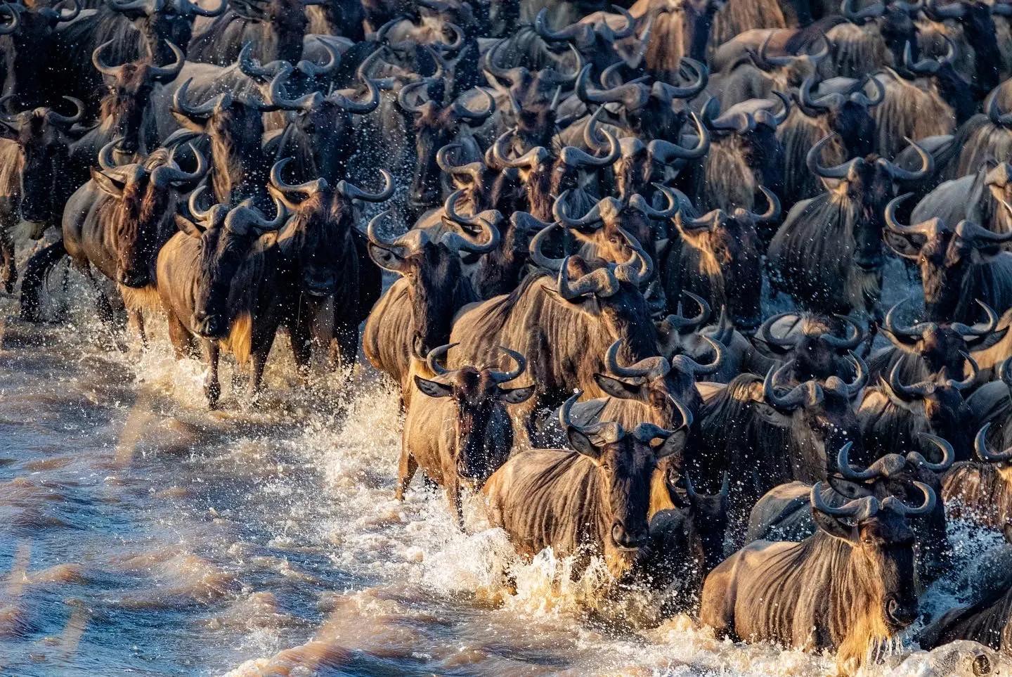 Tanzania safari landscape