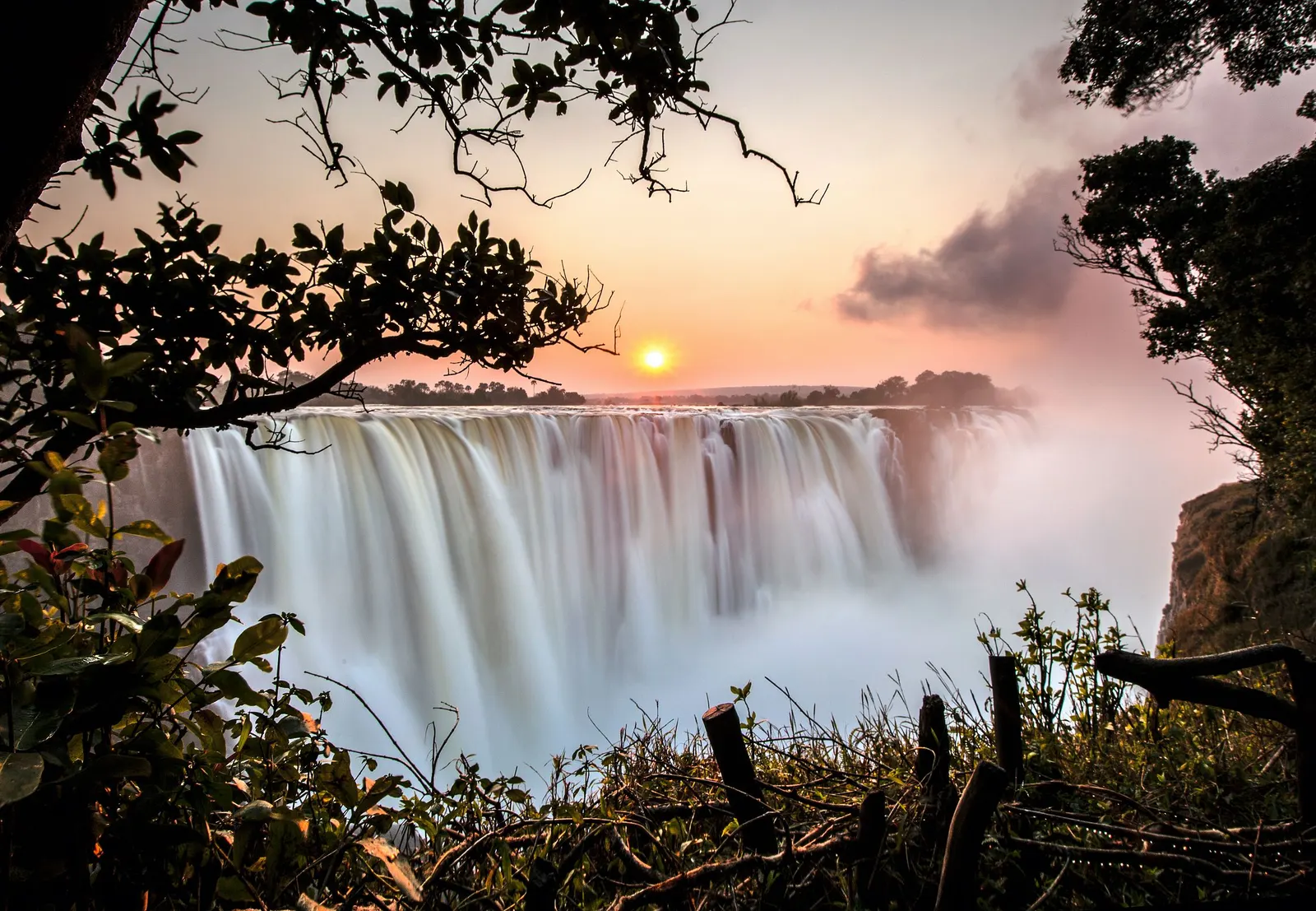 Zimbabwe safari landscape