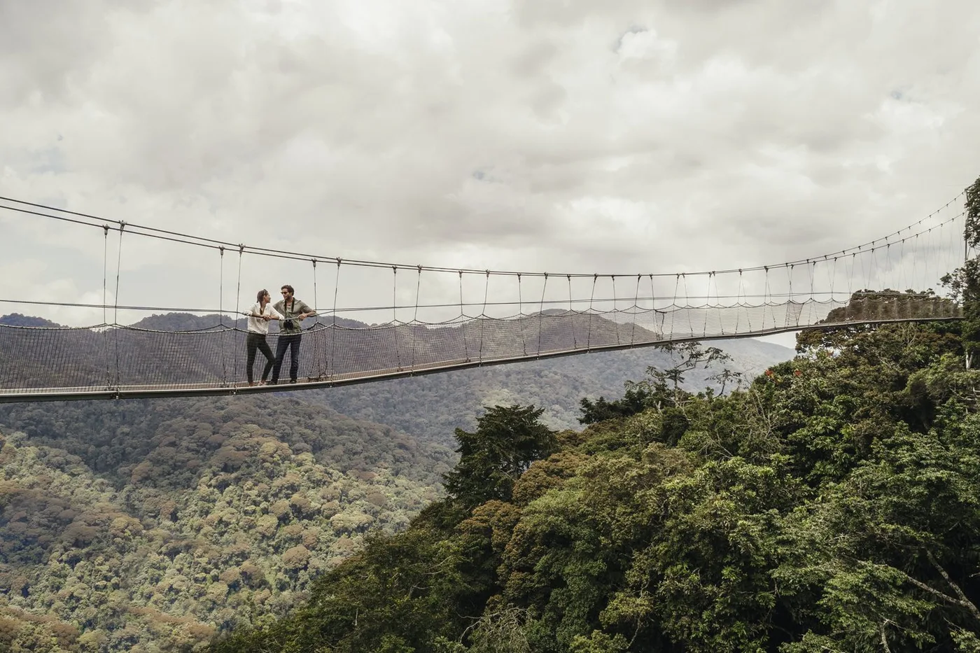Canopy walkway in Rwanda forest