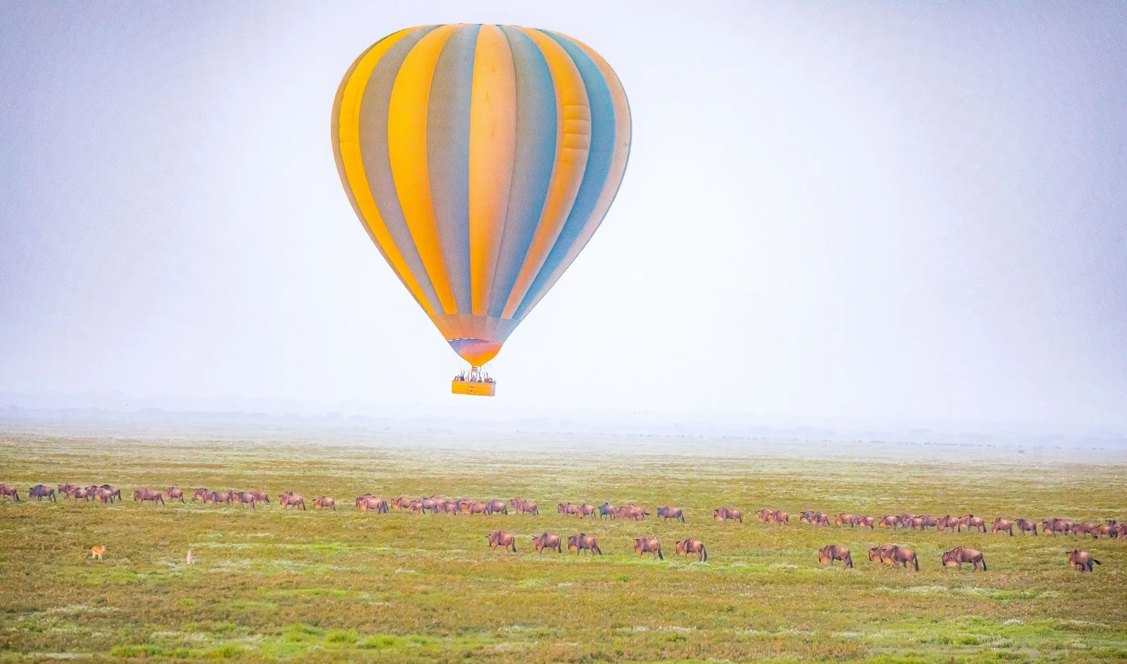 Hot-air balloon over the Serengeti in Tanzania