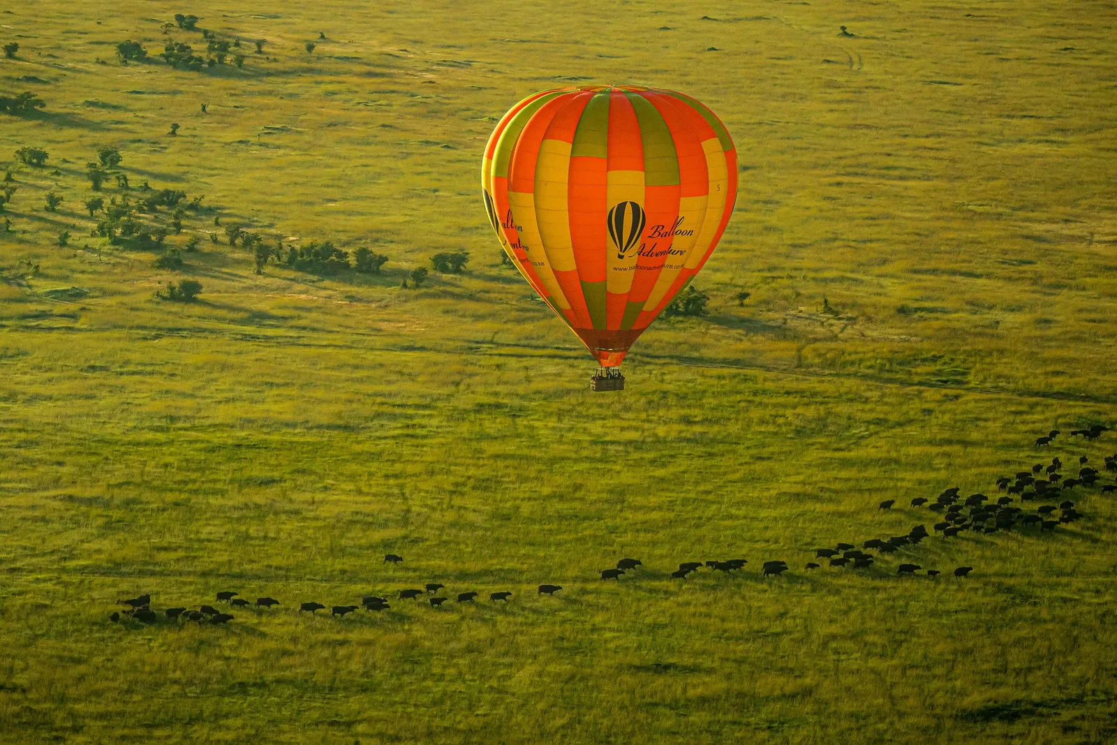 Hot-air balloon over the Maasai Mara in Kenya