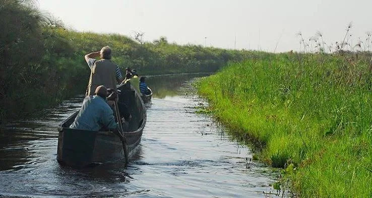 Canoe crossing a Uganda wetland